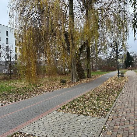 Apartament Kosciuszki 33F Ilawa Bagian luar foto