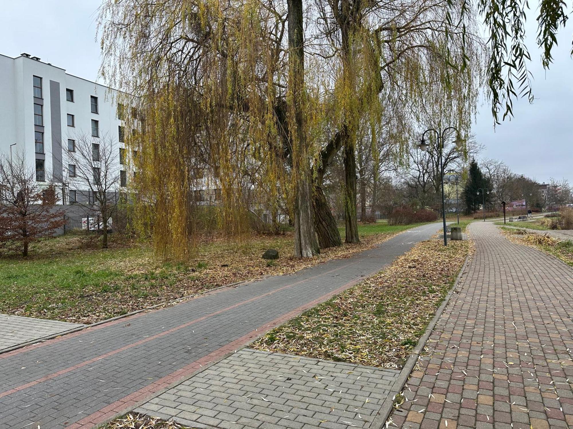 Apartament Kosciuszki 33F Ilawa Bagian luar foto